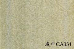 阿姆斯壮